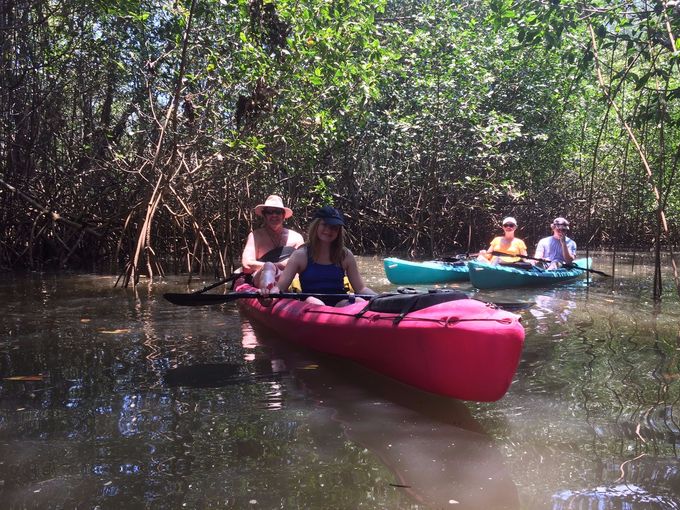 Enjoy Kayaking in the 