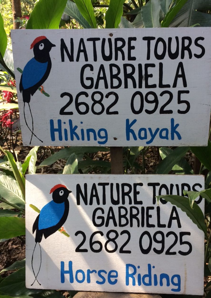 Look out for my signs 