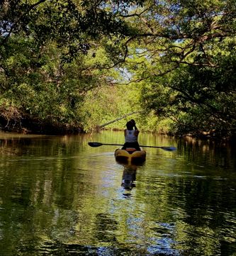 Relaxed kayak tour through the mangroves of Nosara with an experienced guide 